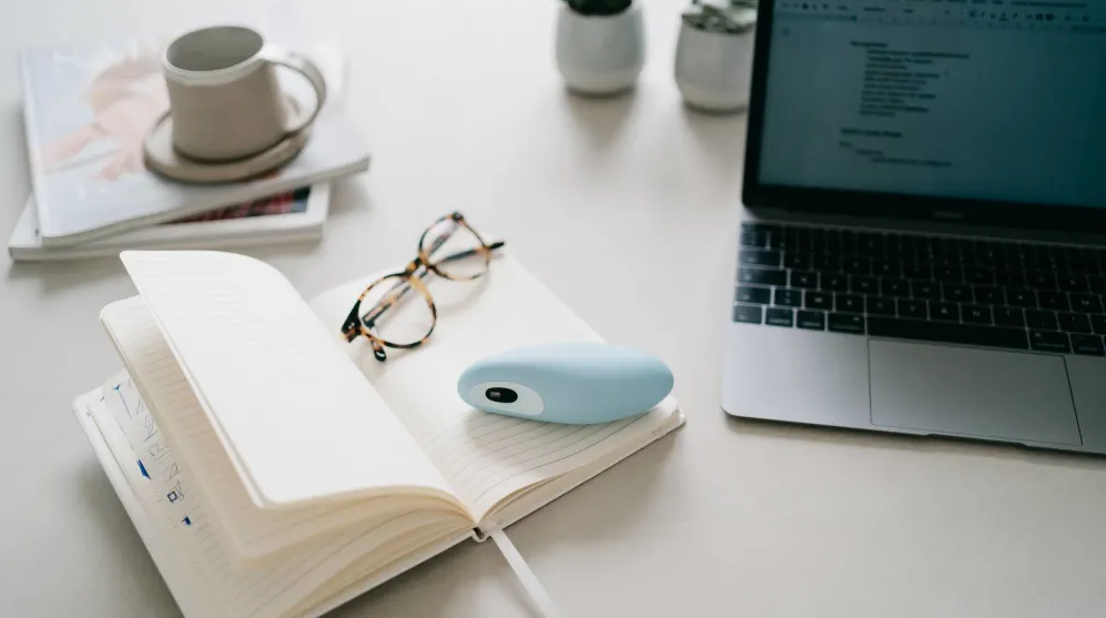 moonbird on notebook