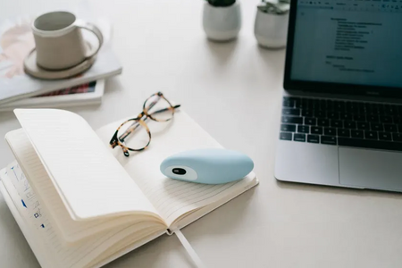 moonbird on notebook