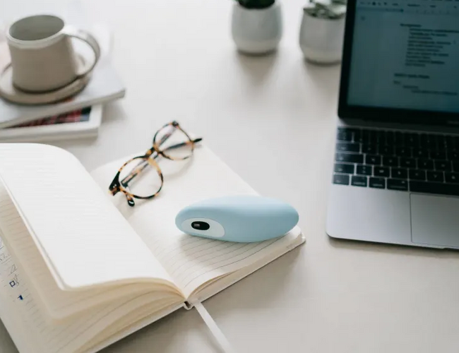 moonbird on notebook