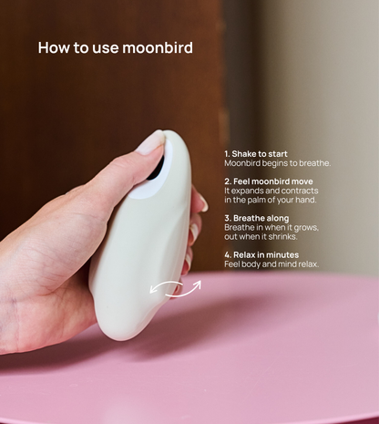 How to use moonbird [en]