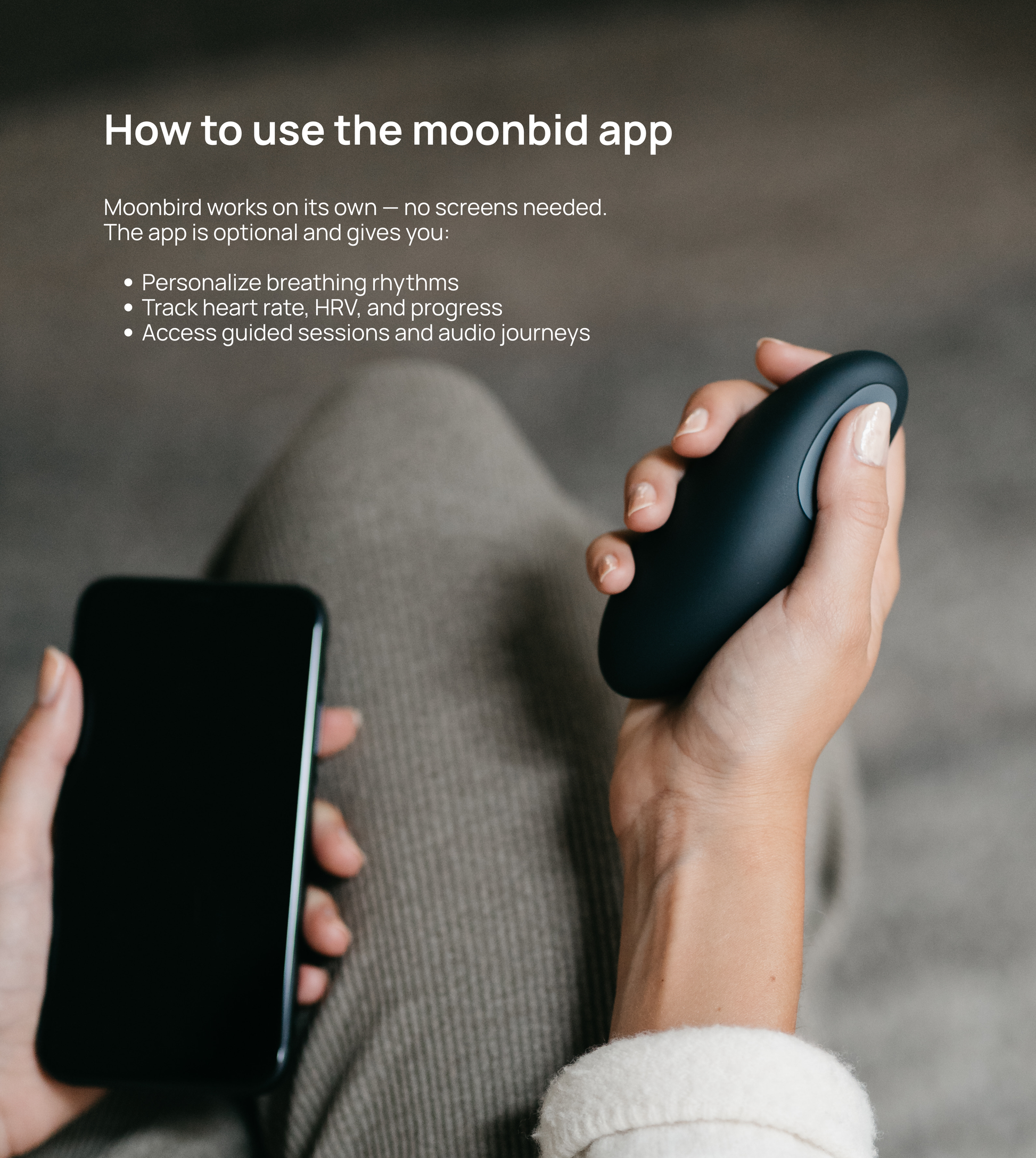 How to use the moonbird app [en]