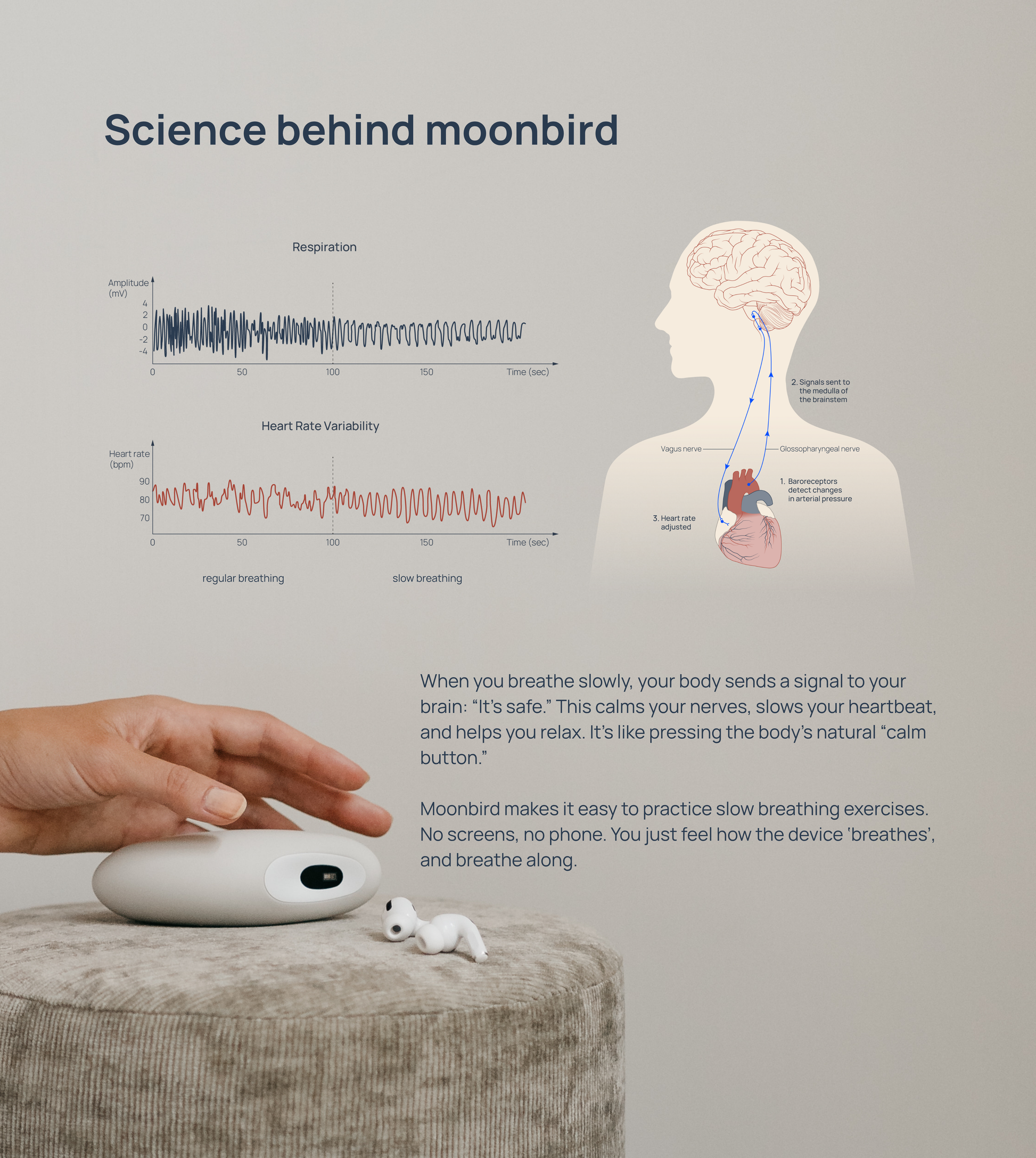 Science behind slow breathing [en]